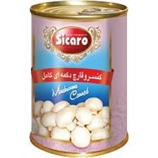 کنسرو قارچ دکمه ای ۳۵۰ گرمی + شرایط فروش عمده و قیمت